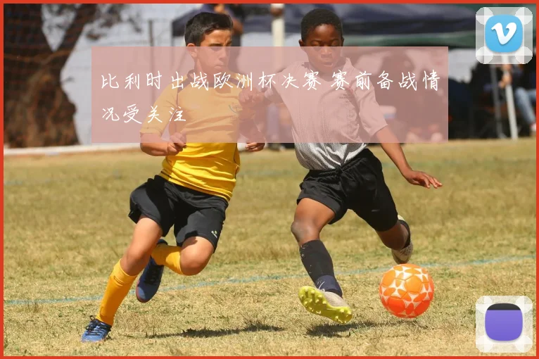 比利时出战欧洲杯决赛 赛前备战情况受关注