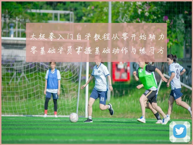 太极拳入门自学教程从零开始助力零基础学员掌握基础动作与练习方法